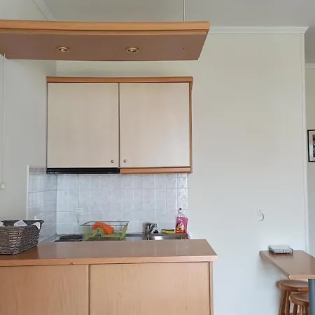 卡斯特罗公寓式酒店